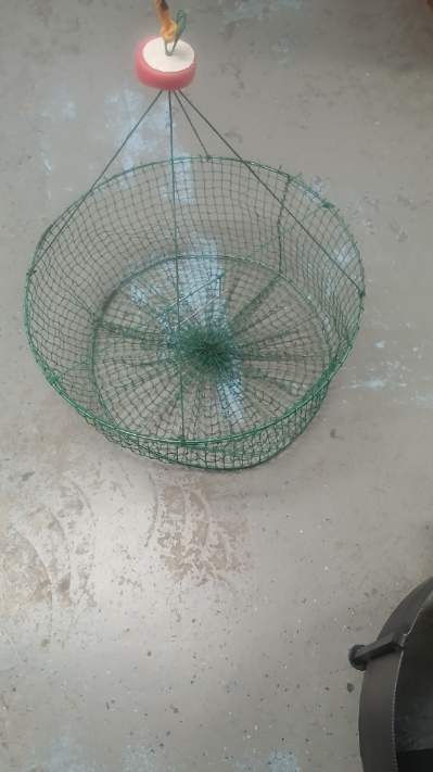 Double Ring Crab/Crawfish Set Nets Fully Rigged (12 Nets)